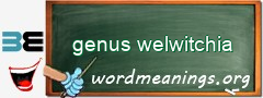 WordMeaning blackboard for genus welwitchia